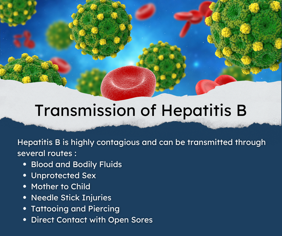 Transmission of Hepatitis B